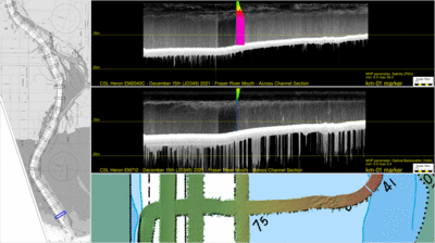 cross section